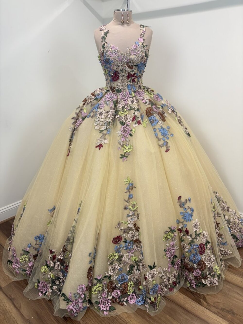 Ragazza Fashion EV37-637 Quinceañera Dress Nude/Multi – Size 7